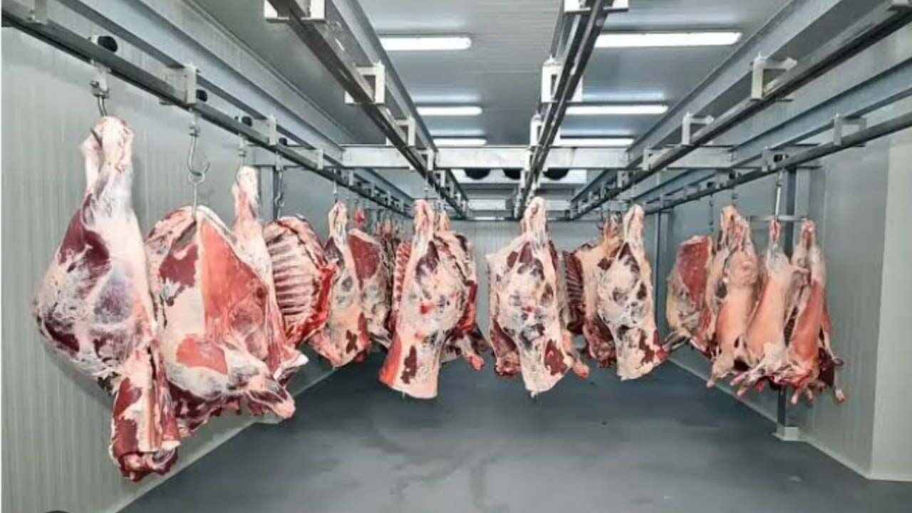 Kırmızı et piyasasında "fiyatlama krizi": Besici kesim fiyatlarındaki düşüşe isyan ediyor!