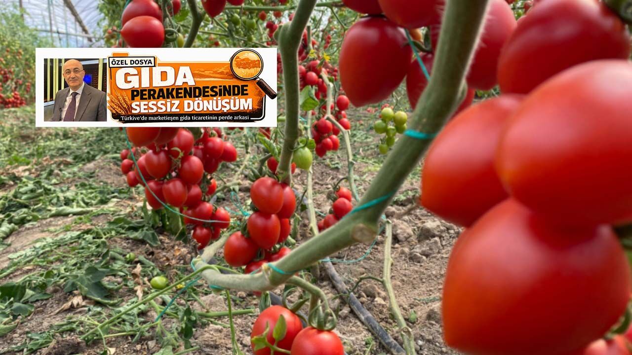 USDA raporu sonrası kritik soru: Bugün marketler, yarın tarlalar mı?