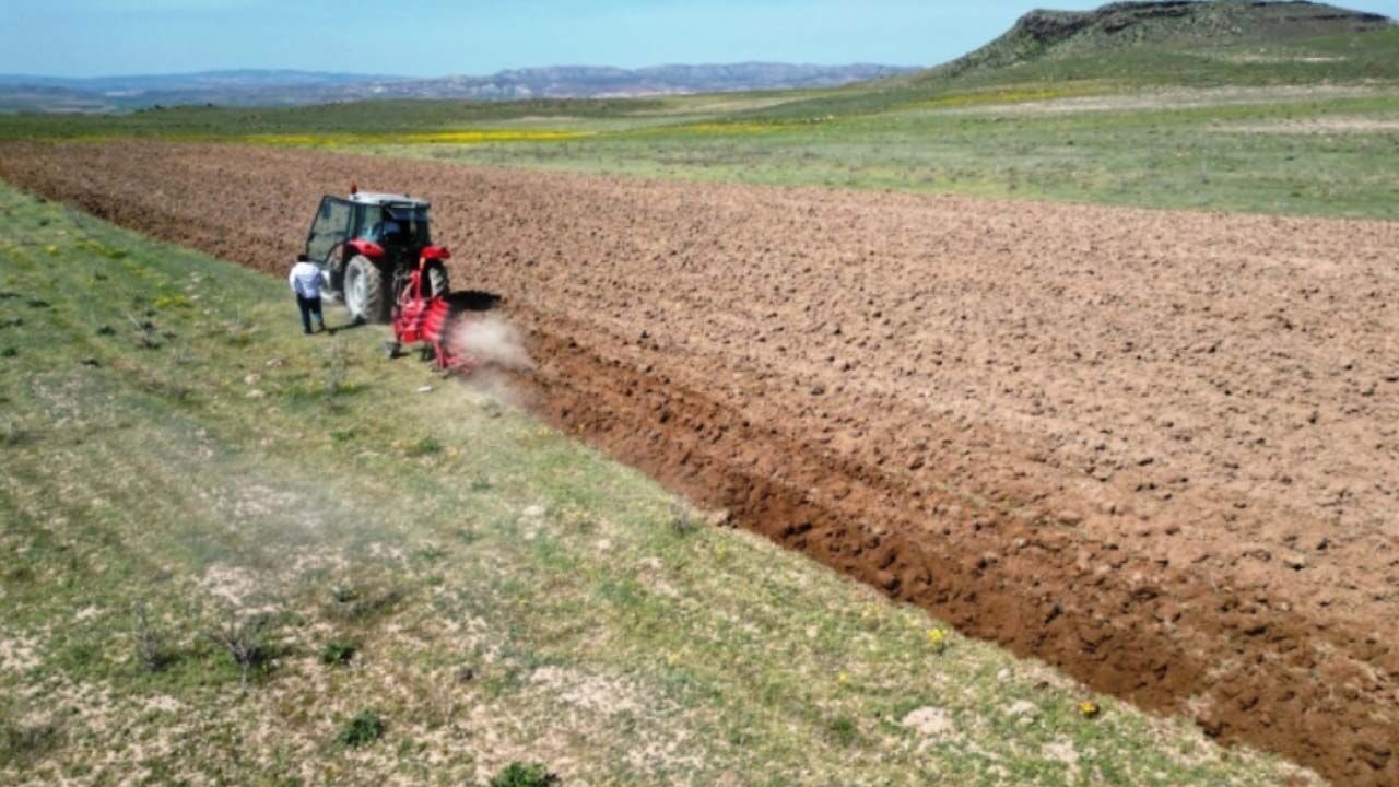 Nevşehir havza destekleri 2027: İlçelere göre desteklenen ürünler belli oldu