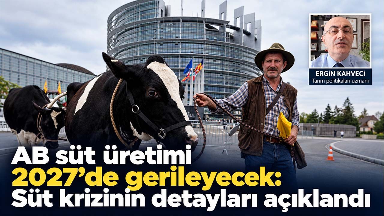 AB süt üretimi 2027’de gerileyecek: Süt krizinin detayları açıklandı
