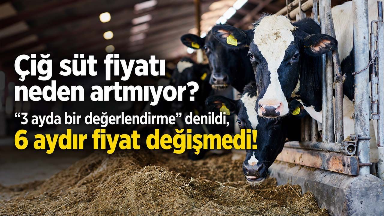 Çiğ süt fiyatında Kasım beklentisi! TÜSEDAD: Üreticide fiyat sabit, rafta zam sürüyor