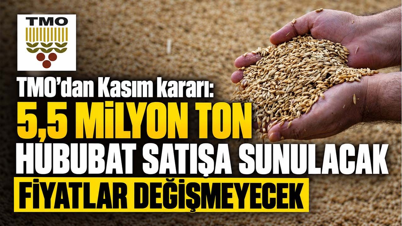 TMO’dan Kasım kararı: 5,5 milyon ton hububat satışa sunulacak, fiyatlar değişmeyecek