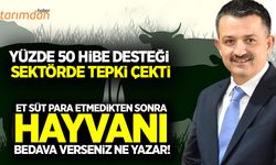 Hayvancılık yatırımlarına yüzde 50 hibe desteğine sektörden tepki!