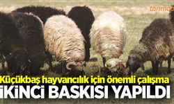 Küçükbaş hayvancılık için önemli çalışma!