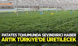 Patates tohumunda sevindirici haber artık Türkiye’de üretilecek