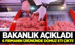 Bakanlık açıkladı: 6 firmanın ürününde domuz eti çıktı!