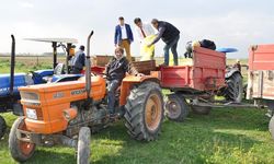 Manisa’da mera alanlarına azotlu gübre atıldı!