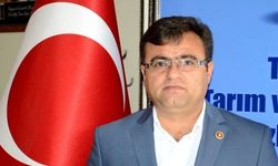 Et açığını küçükbaş kapatacak