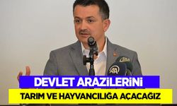 Devlet arazilerini tarım ve hayvancılığa açacağız!