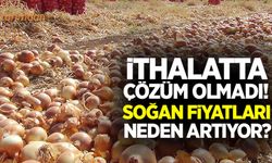 Depo baskınları ve ithalat işe yaramadı soğan fiyatları artmaya devam ediyor!