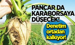 Pancarda denetim ortadan kalkıyor!