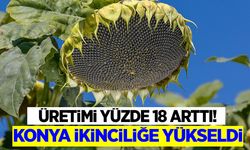 Konya ayçiçeği üretiminde ikinciliğe yükseldi