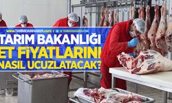 Tarım Bakanlığı et fiyatlarını nasıl ucuzlatacak?