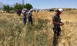 Aksaray’da tarla günü etkinliği düzenlendi