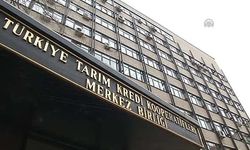 Gıda enflasyonunda Tarım Kredi'nin rolü!
