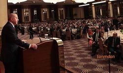 Pamuk, ayçiçeği ve çiğ süt desteklerinin ödeneceği tarih belli oldu