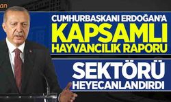Cumhurbaşkanı Erdoğan’a kapsamlı hayvancılık raporu!