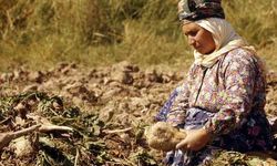 Kampanya döneminde suç oranı azalıyor