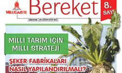 Şeker fabrikaları nasıl yapılandırılmalı?