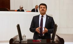 Adıyaman’da nohut rekoltesinde düşüş bekleniyor