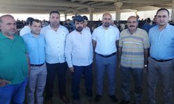 Birliklerden Kızılay'a ortak kurban çağrısı: Yabancıya değil kendi üreticinize sahip çıkın!