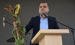 CHP Vekil Aygun’dan ayçiçeği tepkisi! Taban fiyat açıklansın!