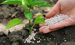 Gübre ve zirai ilaçta sahtekarlar durmak bilmiyor!