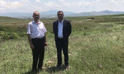 Tarım İl Müdürü: Zarar gören tarım alanlarında inceleme yaptı