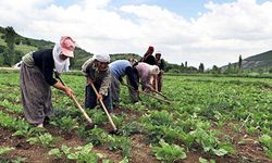 CHP’li Çakırözer: Yüzlerce tarım işçisi işsiz kalacak!