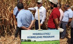 Gübretaş mısır tarlasında hedef yükseltti!