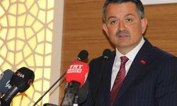 Hayvancılık destekleriyle ithalat arasındaki büyük uçurum!