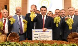 Pakdemirli: 2019 üzüm rekoltesini açıkladı