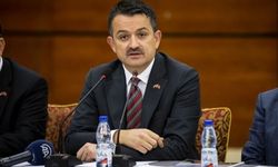Türkiye’nin 4 üründeki ihracat geliri hayvancılıktaki plansız ithalata gitti!