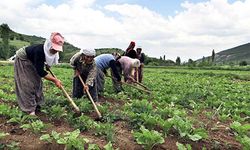 Üretici tepkisini Tarım Şurası’yla gösterdi