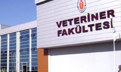 Çok sayıda Veteriner Fakültesinin açılması