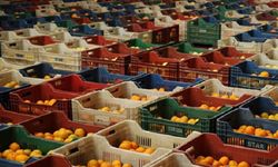 Rusya 3 günde 64 ton tarım ürününü geri gönderdi