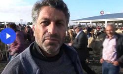 Saman fiyatı hayvan satışlarını olumsuz etkiliyor!