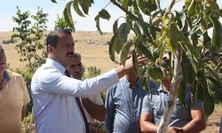 Tarım İl Müdürü: Projelerden yaralanan üreticileri ziyaret etti