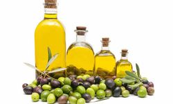 Türk zeytin ve zeytinyağı Myanmar yolcusu