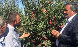 CHP Milletvekilinden elma eleştirisi: Dalında kilosu 1 lira Mecliste tanesi 2 lira!