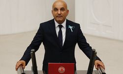 Türkiye son 5 yılda kaç ton kestane ithal etti?