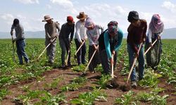 Yeni Ekonomi Programı’nda 3 yıllık yeni tarım yol haritası!