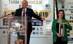 1 litre zeytinyağı 11 bin TL’ye satıldı