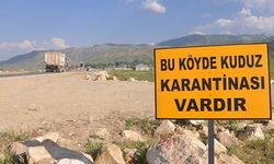 Adıyaman’da kuduz alarmı!