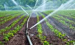 DSİ açıkladı: Bilecik’te 23 bin dekar tarım arazisi sulandı