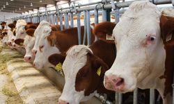 Erdurmuş: Tarım artık yapıcı kararlar alınıyor