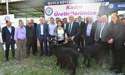 Muğlalı kadınlara kıl keçisi desteği