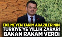 Türkiye atıl tarım arazilerinden ne kaybediyor?