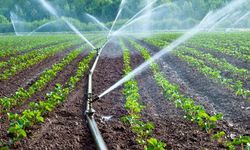 Kırıkkale’de 104 bin dekar tarım arazisi sulandı