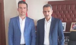 Kars'ta sahipsiz hayvanlar kısırlaştırılacak